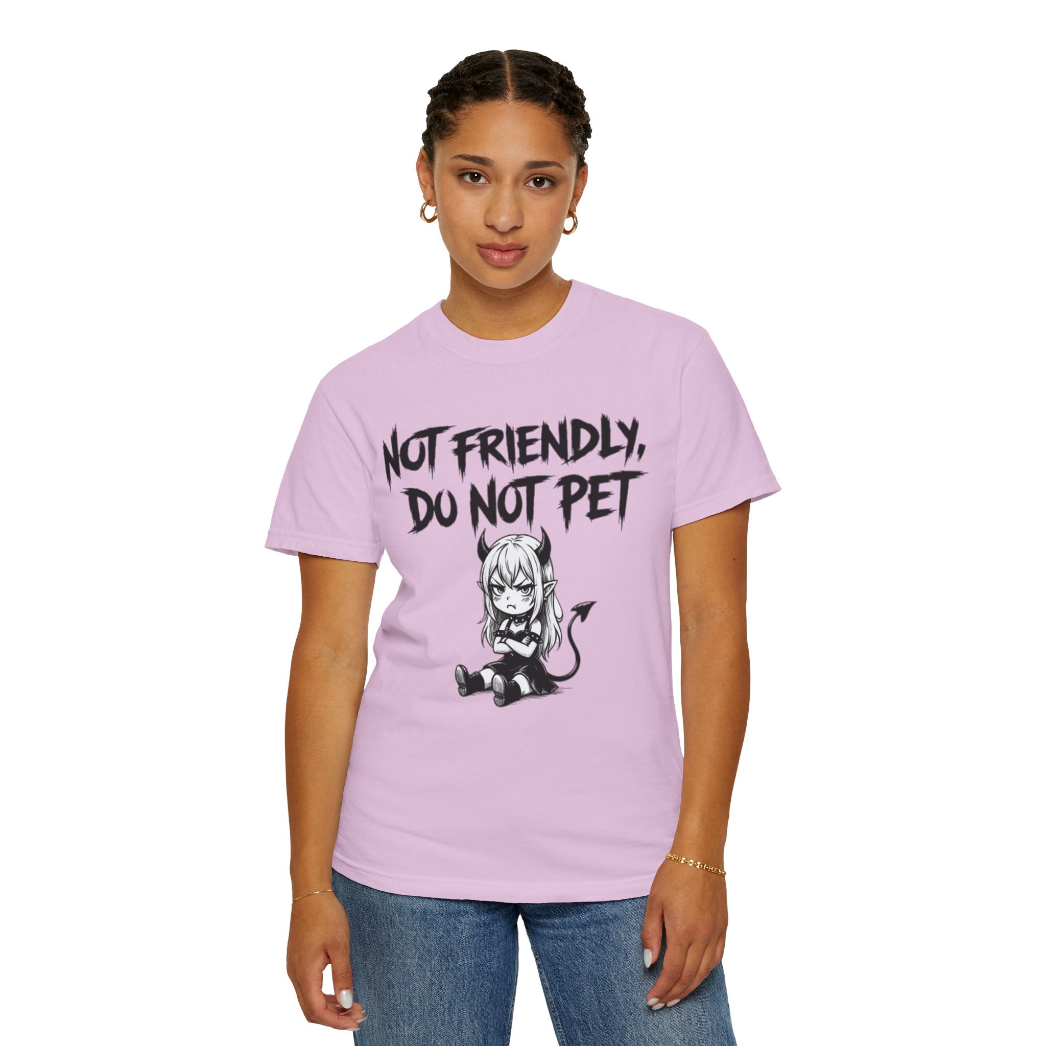 Not Friendly Devil Tee (Garment Dyed)