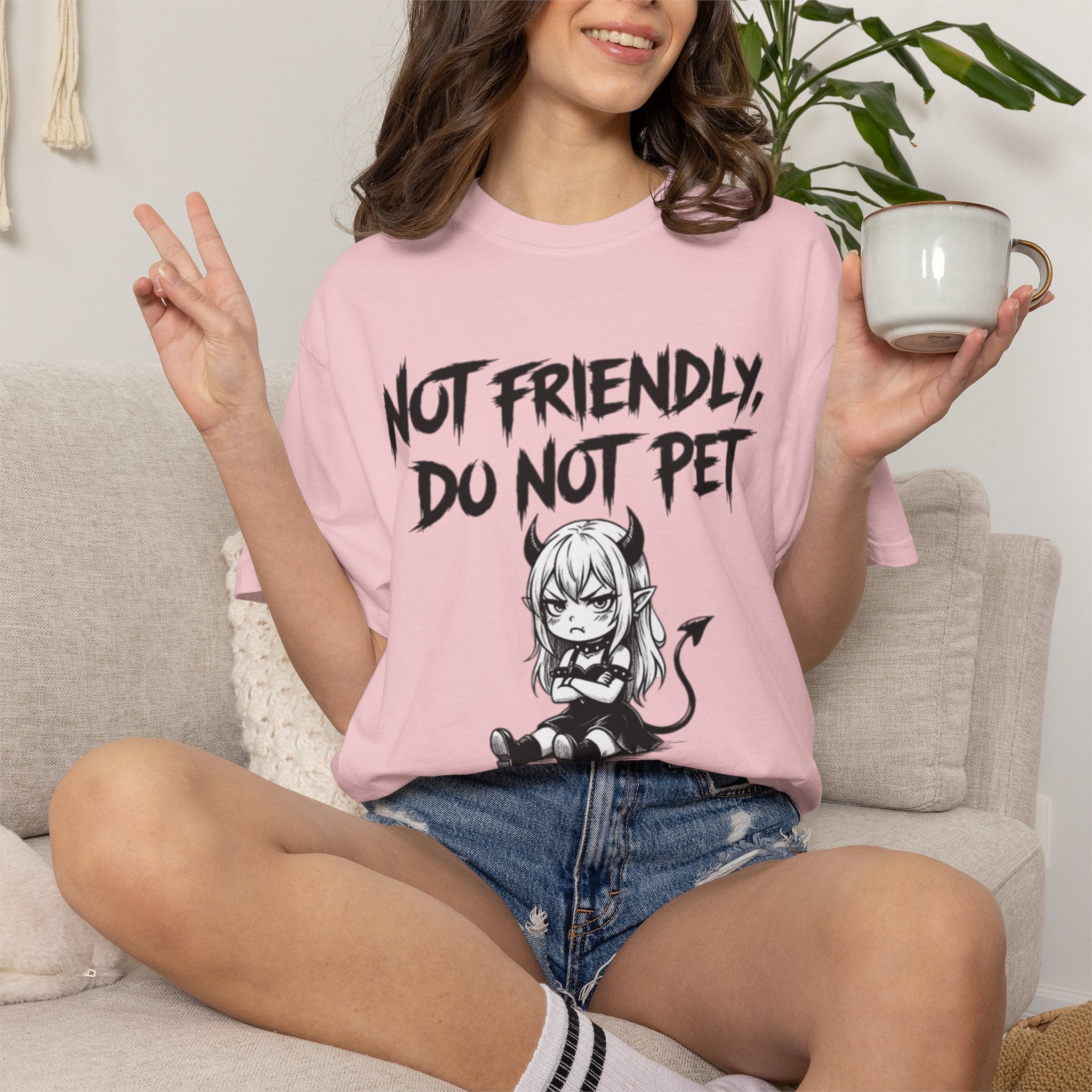 Not Friendly Devil Tee (Garment Dyed)