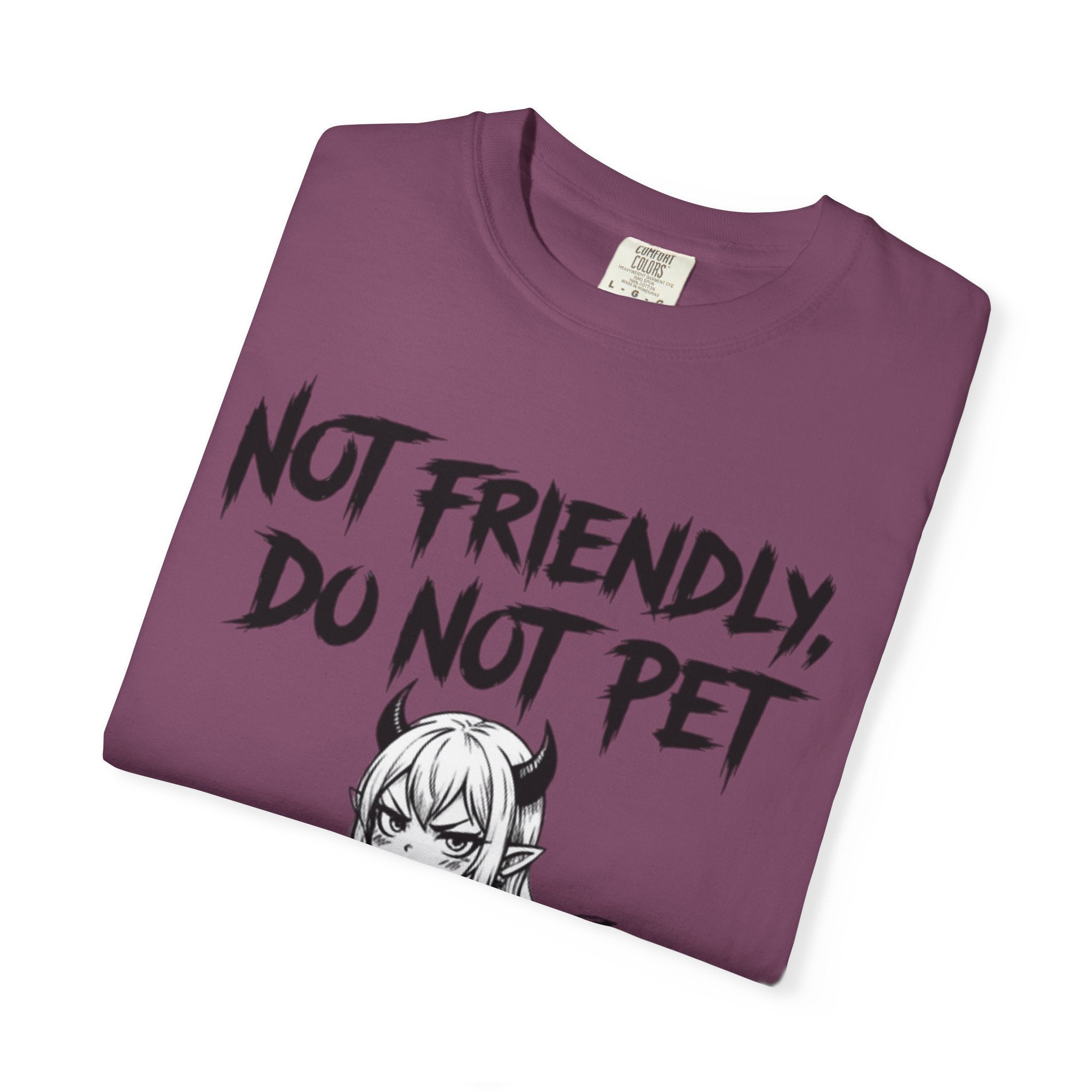 Not Friendly Devil Tee (Garment Dyed)