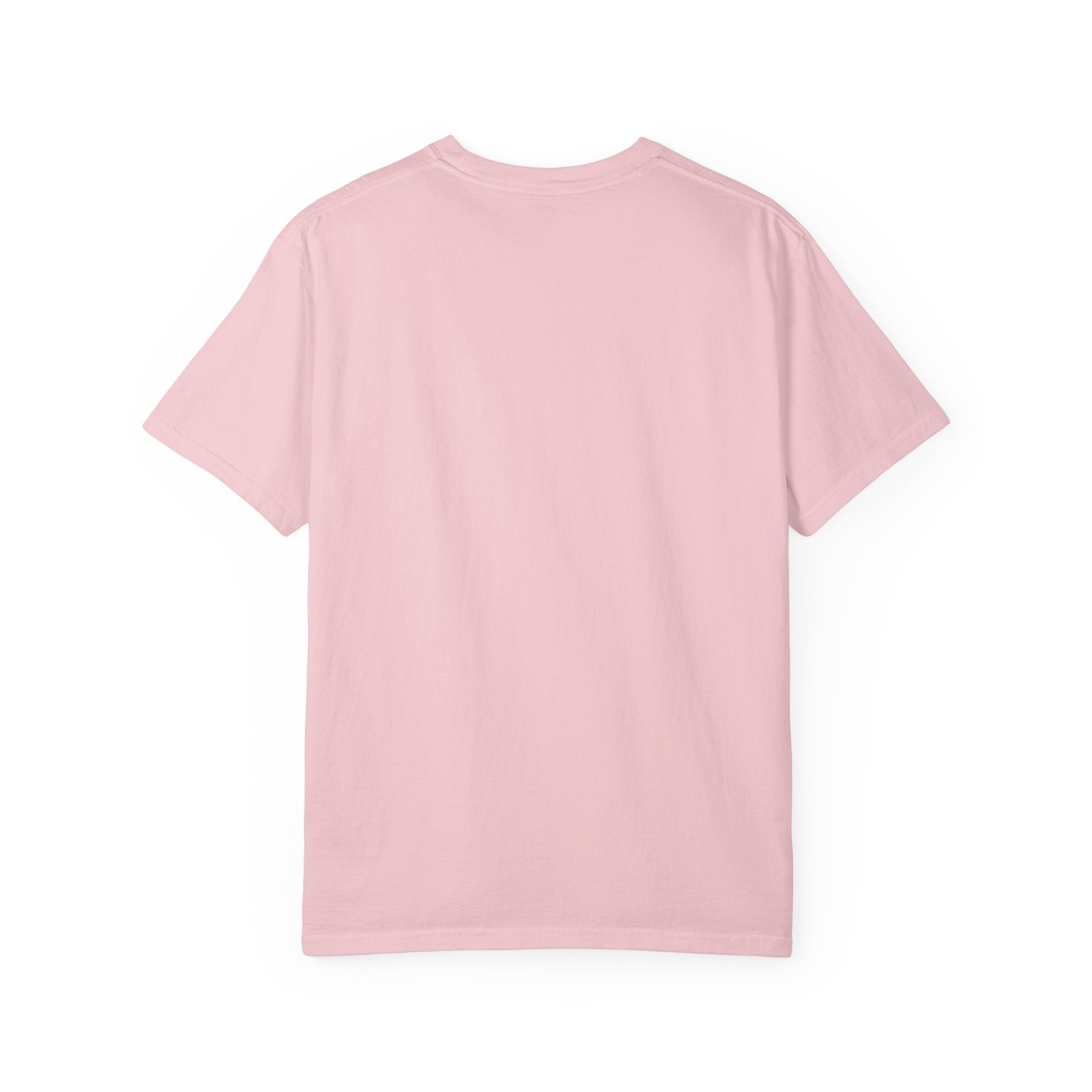 Not Friendly Devil Tee (Garment Dyed)