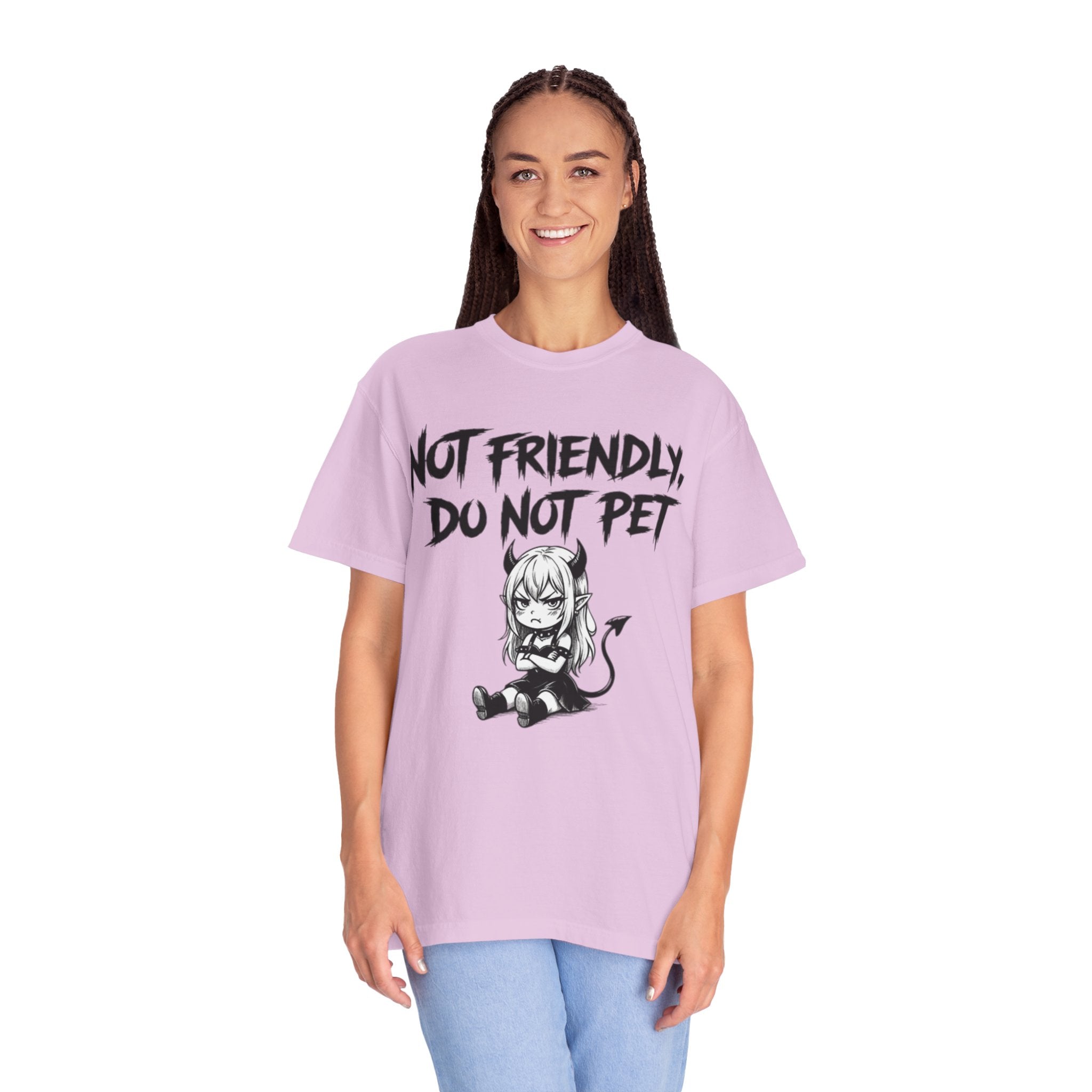 Not Friendly Devil Tee (Garment Dyed)